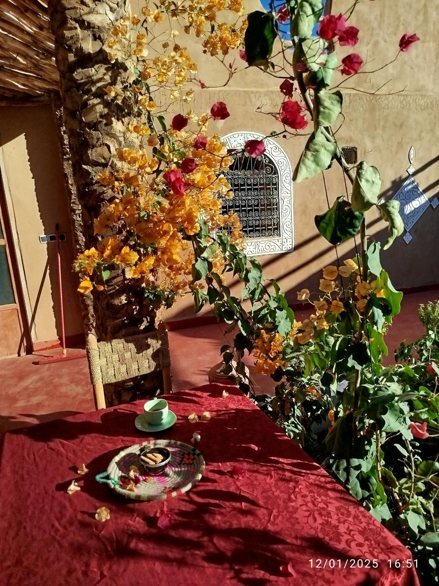 Dar Nomads Bed and Breakfast M'Hamid Exteriör bild